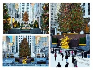 The Rockefeller Center Christmas Tree Tradition 